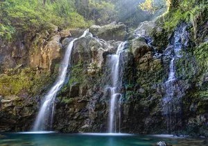 8 Hour Private Jungle Waterfall Tour from Maui