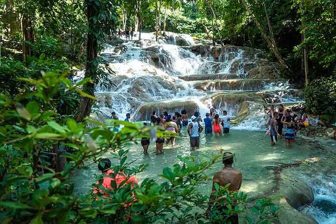 Dunn's River Falls plus Luminous Lagoon (Glistening Water)Private Tour