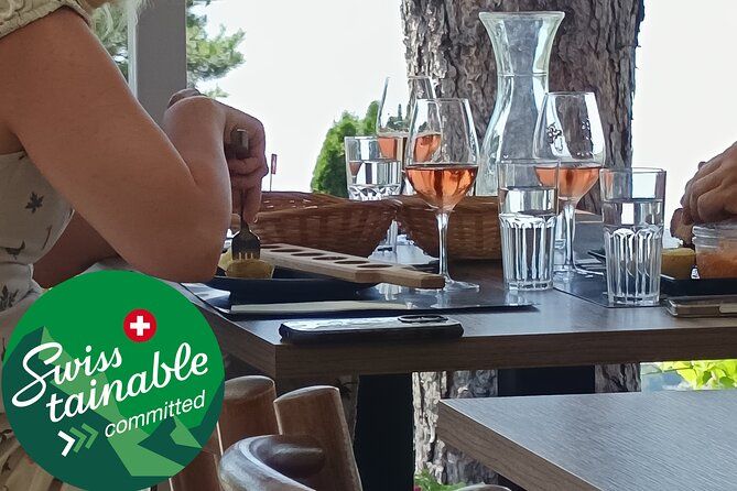 Swiss Vineyard Wine Tasting Tour in Vaud