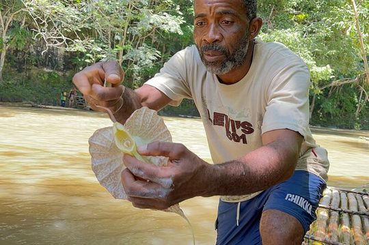 Montego Bay Sightseeing, Shopping and Bamboo Rafting