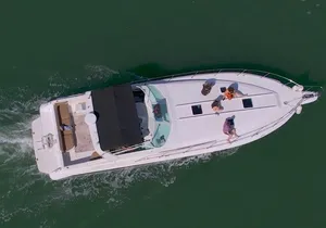 Private Yacht 46ft Sea Ray Snorkel up to 15 pax 23P2