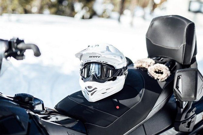 Snowmobile Safari through Lappish Forest from Rovaniemi