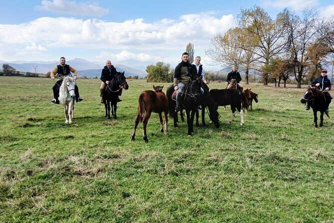 Scenic Trail Rides