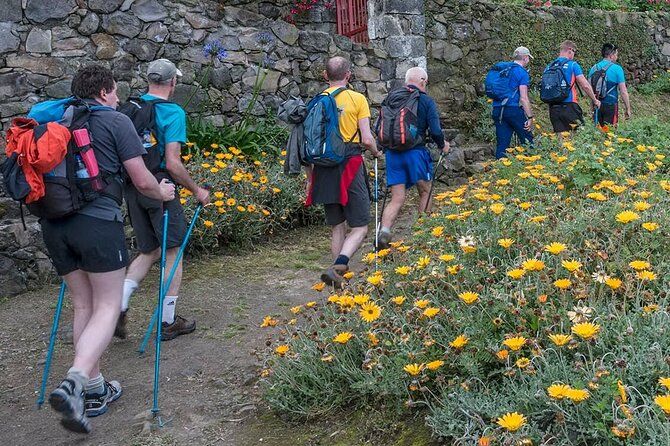 Full Day - Hiking Trail Ribeira Funda-Maia