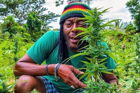 Rasta Safari Atv Experience and Rick's Cafe Private Tour