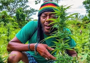 Rasta Safari Atv Experience and Rick's Cafe Private Tour