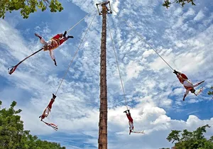 Amazing Xcaret Plus Tour with Transportation from Playa del Carmen