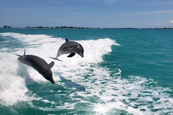 !! Flippers Fun Boat!! Dolphin Adventure Clearwater Beach!