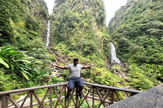 Scenic Tour of City and Rainforest, Waterfall, Sulphur Springs.
