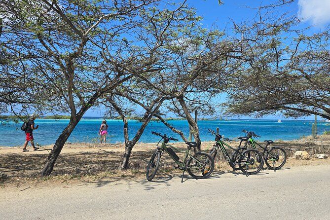 Semi - Private Spanish Lagoon Culture Heritage E-Bike Experience