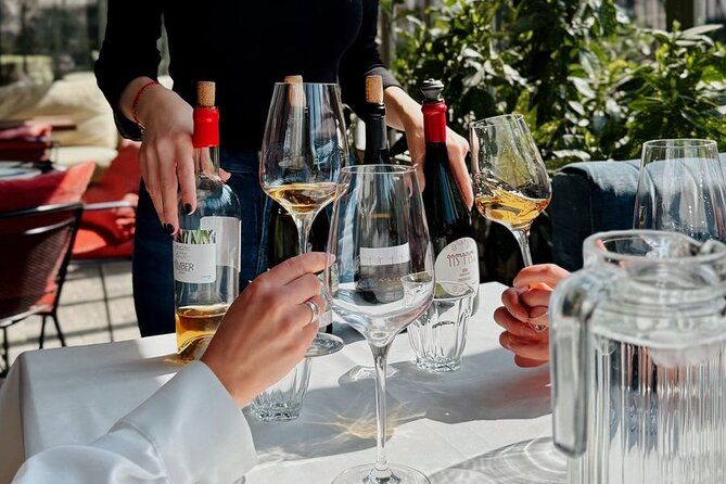 Wine Tasting Feel the Difference of Qvevri or Classical Wine