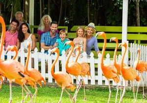 Flamingo March & Pirates Adventure Tour Nassau