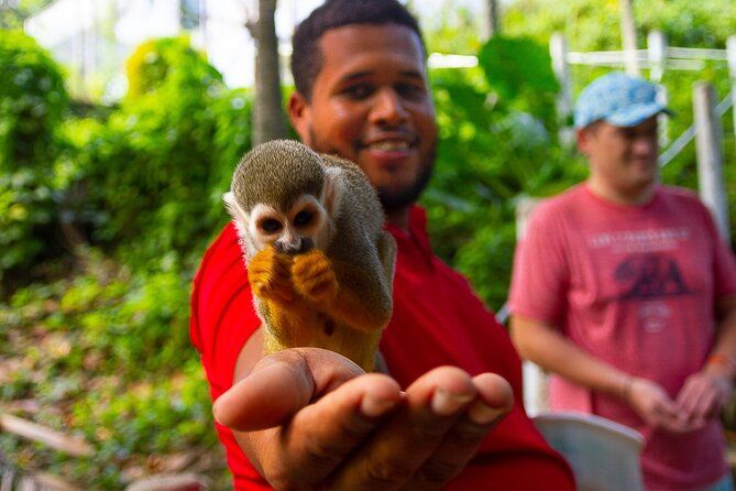 Puerto Plata: Monkey Enconter & Zip line Adventure