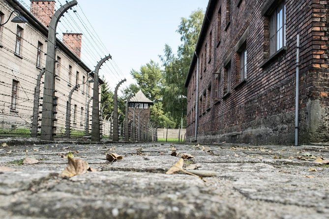 Combined: Auschwitz Birkenau and Salt Mine private chauffeur from Krakow