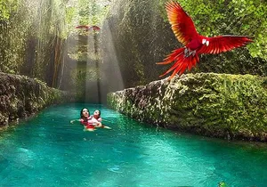 Xcaret Plus! Transportation Included from Cancun & Riviera Maya