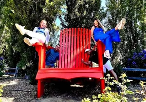 Embark on an Epic Muir Woods and Wine Country Adventure!