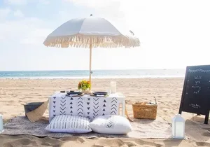 Classic Beach Picnic in Santa Monica