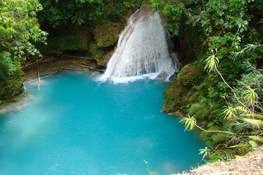 Blue Hole & Horseback Riding Ocho Rios from Montego Bay Jamaica