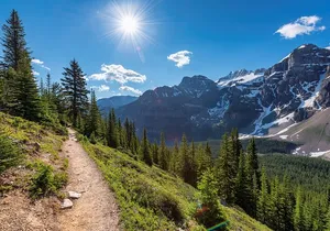 Private Tour of Banff & Yoho Parks, Moraine Lake, Emerald Lake