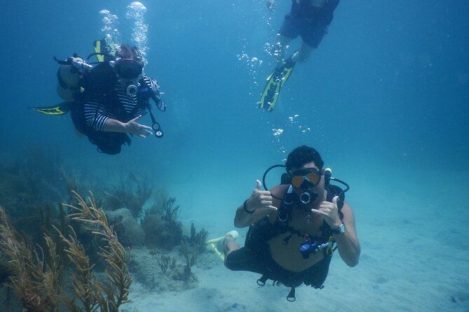 Scuba Dive and Snorkel Private Charter in Puerto Rico