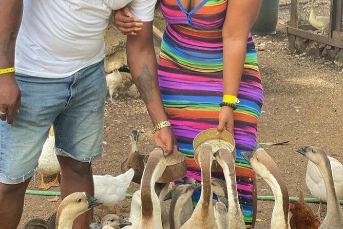 Animal Farm (Mini Zoo), Bamboo Rafting and Limestone Massage Private Tour