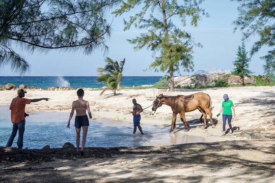 Horseback Riding , Blue Hole And Lunch from Ocho Rios Jamaica