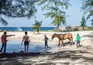 Horseback Riding , Blue Hole And Lunch from Ocho Rios Jamaica