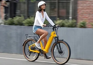 Electric Bike Rentals in The Villages Florida