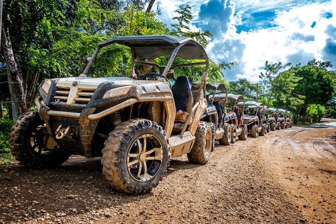 Macao Beach Buggy Safari & Cenote Swimming