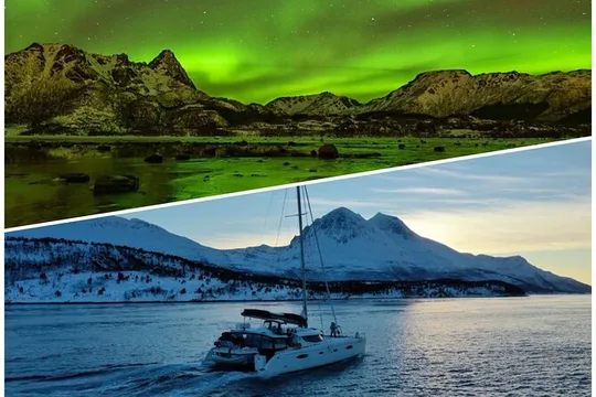 Northern Light Cruise With Luxury Catamaran in Tromso, Norway
