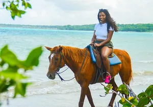 Jamaica's Ocean Horseback Bamboo Raft Adventure and Transport