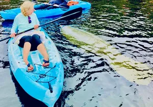 Dolphin, Manatee and Sea Turtle Kayak Adventure