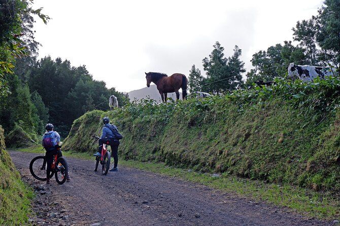 Guided Electric Mountain bike Tour Ribeira Grande