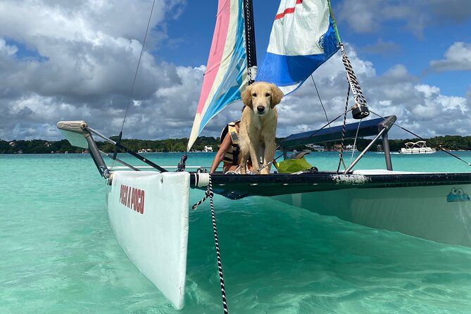 Sail away! Hobie Cat Tour Bacalar