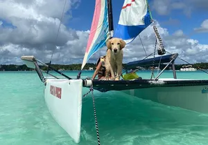 Sail away! Hobie Cat Tour Bacalar