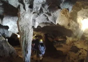 Green Grotto Caves and Horseback Riding from Falmouth