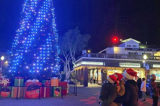 San Francisco Private Small Group Holiday Lights Tour