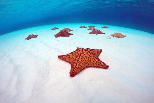 Cozumel El Cielo All Inclusive Tour from Cancun