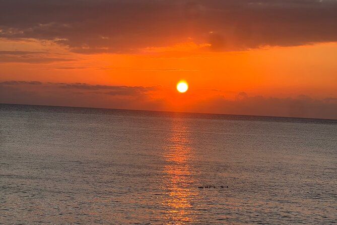Negril 7 Mile Beach and Ricks Cafe Tour