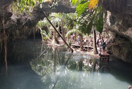 Tours On The Island Cozumel