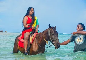 Private Horseback Ride, Swim in Blue Hole and Secret Falls