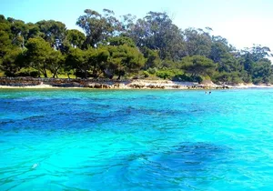 Private Lérins Islands Snorkeling Tour: Swim & Relax from Cannes