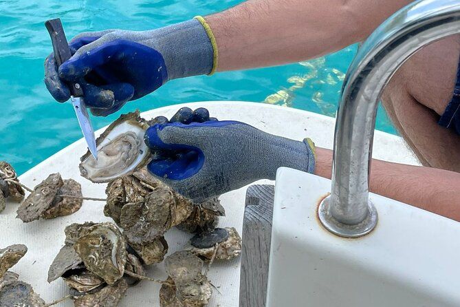 Ston Seafood & Wine,Boat Tour with Oysters and Mussels (lunch)