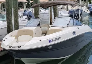 24 Ft Miami Bay: Private Boat, Gas Included , 8 people, Captained