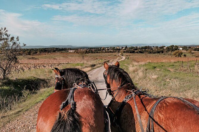 Carriage rides, Pays de Sommières