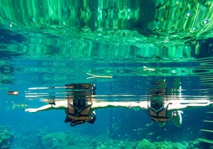 Private Jungle Expedition Tour