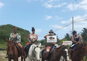Horseback Riding and Blue Hole Secret Falls Private Tour