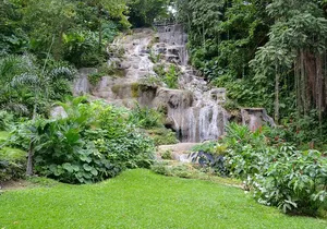 Shared Konoko Falls and Tropical Garden Tour from Runaway Bay