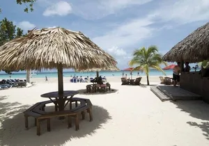 Negril Day Tour Adventure from Montego Bay