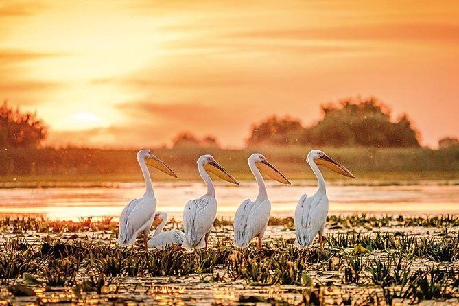 Danube Delta Private Tour from Bucharest - 2 Days tour